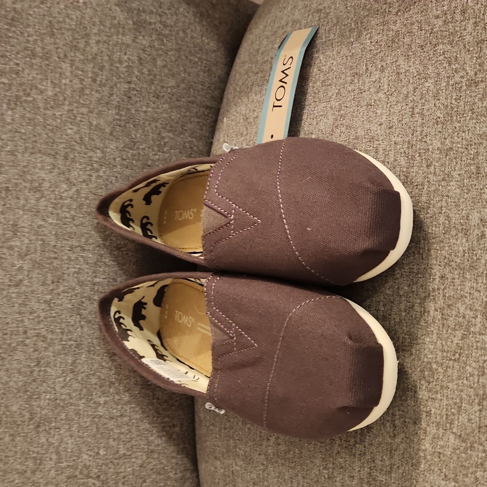 TOMS Ash Canvas